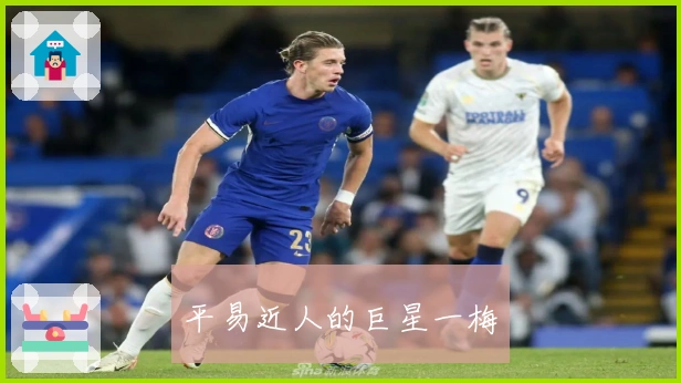 平易近人的巨星一梅