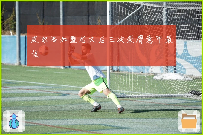 皮尔洛加盟尤文后三次荣膺意甲最佳