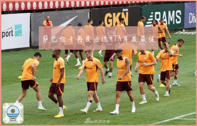 萨巴伦卡再度当选WTA年度最佳